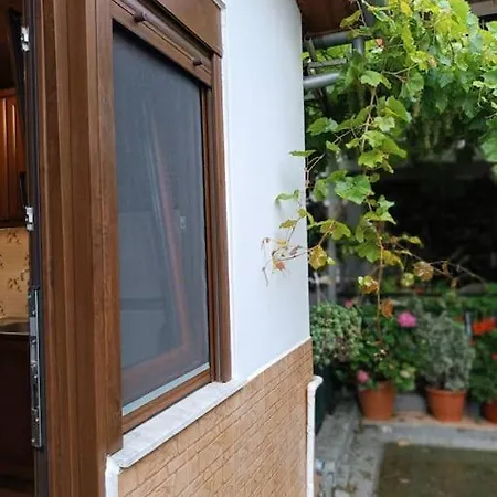 Mary's Traditional *