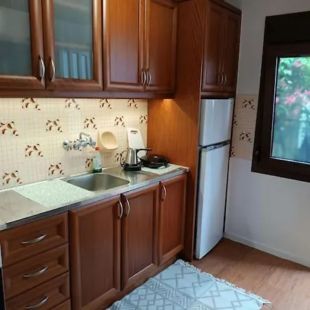 Mary's Traditional *