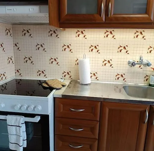 Mary's Traditional Aigani