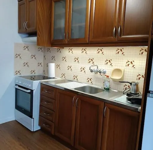 Mary's Traditional Apartament Aigani